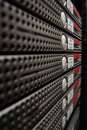 Website Hosting